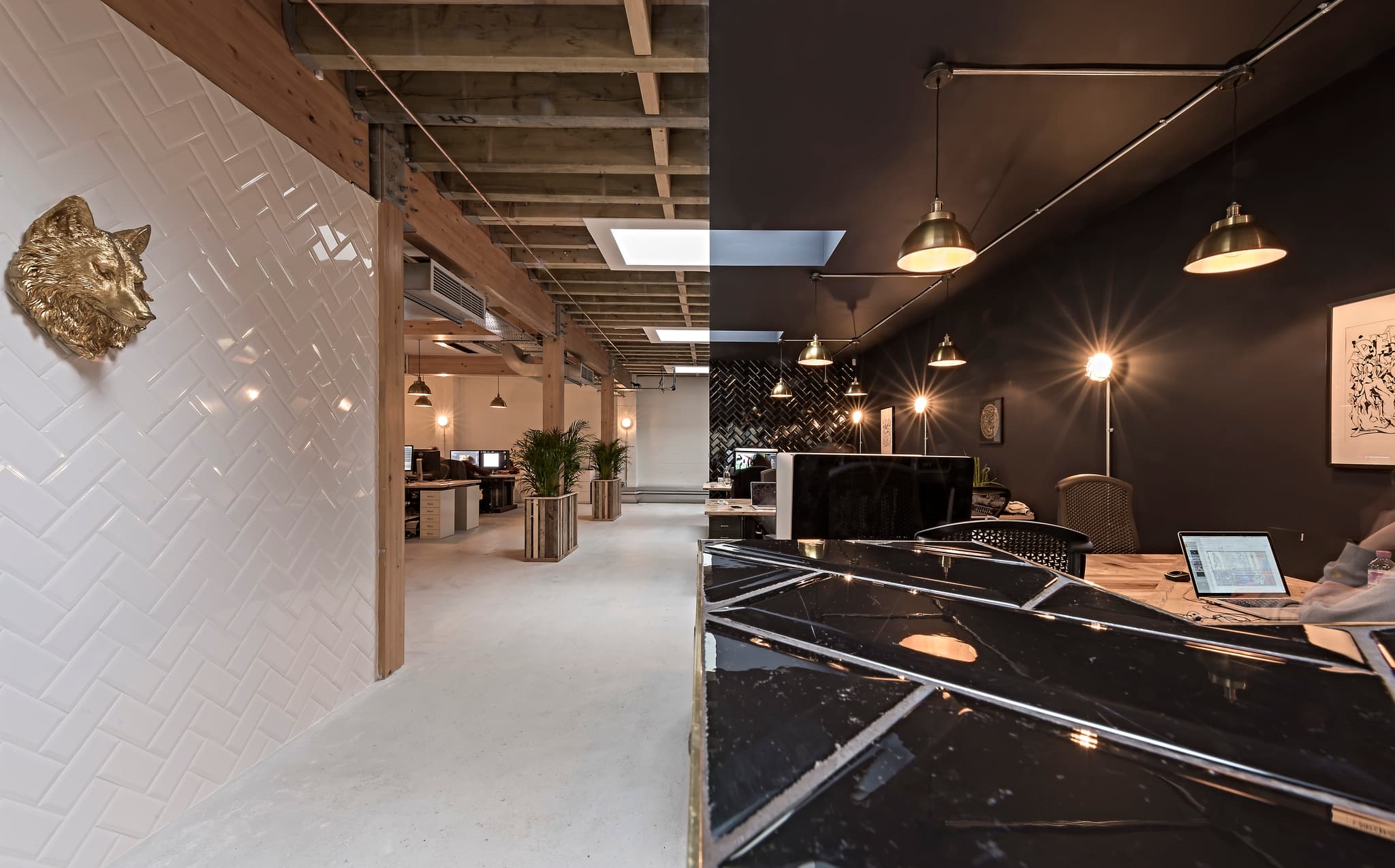 Motionogapher Studio Stories: 12 Years of Golden Wolf